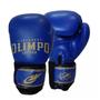 Imagem de Kit Boxe Muay Thai Luva Bandagem Bucal Case Caneleira Bolsa