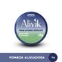 Imagem de Kit bravir alivik 12g com 6