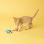 Imagem de Kit Brinquedos Tartaruga Gato Esquilo Com Catnip Para Pets