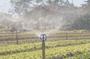 Imagem de Kit C/15 Aspersor P5 Irrigação Com Rosca De 1/2 - Agrojet