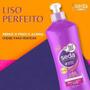 Imagem de Kit c/ 2 Creme Para Pentear 300 Ml Liso Perfeito, Seda