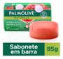 Imagem de Kit c/ 24 Sabonete Em Barra Palmolive Naturals Melancia &