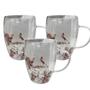 Imagem de Kit c/ 3 Caneca de Vidro Borossilicato Parede Dupla com Flores Secas 350ml