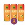 Imagem de Kit c/ 3 Energético Organique Energy Drink Sabor Frutas Tropicais 269ml