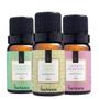 Imagem de Kit c/3 Essências Para Aromatizador Via Aroma