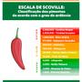 Imagem de Kit c/3 Molho Pimenta Carolina Reaper No Azeite 100ml Nativa