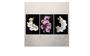 Imagem de Kit C/ 3 Peças Quadros Decorativos orquidea"