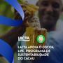 Imagem de Kit c/ 4 Chocolate Branco Laka 145g