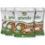 Imagem de Kit c/ 4pct Granola com Coco WS NATURAIS 500g