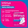 Imagem de Kit c/ 6 Absorvente Tripla Protecao Seca Com Abas 32