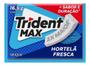 Imagem de Kit c/ 6 Trident max hortela 16,5g s/acucar