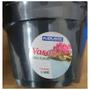 Imagem de Kit C/6 Vaso Plantio P09 (250 Ml) Preto Injeplastec