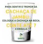 Imagem de Kit Cachaça Jambu com Castanha Do Pará Meu Garoto 275ml 2uni