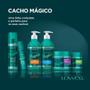 Imagem de Kit Cacho Mágico Shampoo + Creme Modelador + Gelatina Lowell