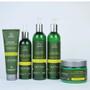 Imagem de Kit Cachos e Crespos Vector Force Curl & Wave Hair Therapy