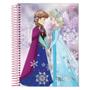 Imagem de Kit Caderno Frozen Arame 200 Folhas Capa Dura Com 40 Itens