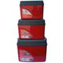 Imagem de Kit Caixa térmica Cooler 7,5L + 15L + 30L Alça Tampa bandeja FloripaUnitermi Cerveja Praia Churrasco