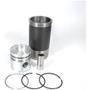 Imagem de Kit Camisa Pistão e Anéis Ford F-22000 1978 a 1992