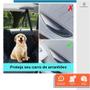 Imagem de Kit Capa Pet Protetora De Banco Traseiro com Ziper + 2 Cinto de Segurança