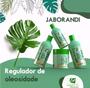 Imagem de Kit Capilar De Jaborandi Botanical - Habito Cosmeticos