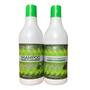 Imagem de Kit Capilar Regenerador E Fortalecedor Graviola Shampoo Condicionador 500ml OmegaHair
