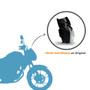 Imagem de Kit Carenagem Farol Completa Plástico Bananinha Frente Moto Honda Fan 150 Esdi Fosco 2014 2015