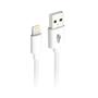 Imagem de Kit Carregador Fonte 5.1 + Cabo Rápido 2 USB Lightning Compatível com iPhone SE X XR 7/8 7/8 Plus 11 12 13 14 Pro Max
