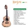 Imagem de Kit Cavaco Rozini Rc17 Show Elétrico Fishman Maciço Com Capa