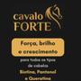 Imagem de Kit Cavalo Forte 1 Máscara 900ml 1 Leave In 150g Haskell
