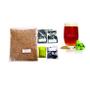 Imagem de Kit Cerveja Pumpkin Ale - 20L Brewbeer Com Insumos E Receita