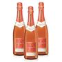 Imagem de Kit Chandon Passion Rosé On Ice 750ml 3 Unidades