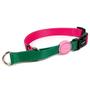 Imagem de Kit Coleira Martingale Brabus Dog Rosa e Verde + Guia Premium