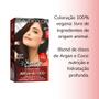 Imagem de Kit Coloração Beautycolor 44.66 Borgonha Magnífico