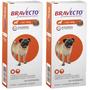 Imagem de  Kit com 02 unidades Bravecto Antipulga e Carrapato Cães de 4,5 A 10kg