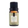 Imagem de Kit com 03 Essências 10ml Mais Vendidas Via Aroma