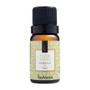 Imagem de Kit com 03 Essências 10ml Mais Vendidas Via Aroma
