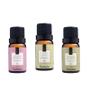 Imagem de Kit com 03 Essências 10ml Mais Vendidas Via Aroma