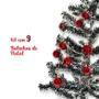 Imagem de Kit com 09 Bolas De Natal de Enfeite Tamanho Padrão 6cm Vermelha