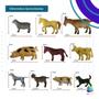 Imagem de Kit Com 10 Animais De Brinquedo Miniaturas Zoo Fazenda