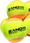 Imagem de Kit Com 10 Bolinhas Bola De Beach Tennis ZAND Premium Pro