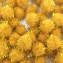Imagem de Kit Com 100 Pompom Em Lurex 1.5Cm Dourado