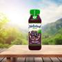 Imagem de Kit Com 12Und Suco De Uva E Maçã Natural One Ambiente 300Ml