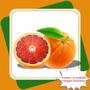 Imagem de Kit com 15 Mudas de Laranja Sangúinea  Citrus Sinensis L. Osbeck   Para Sul e Sudeste