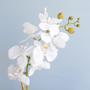 Imagem de Kit com 2 Arranjos - Orquídea Artificial Branca + Peperômia no Vaso de Vidro