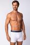Imagem de Kit com 2 Cuecas Boxer Box Lupo Masculina Em Algodão Cotton Original