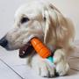 Imagem de Kit com 2 Mordedores para roer Cenoura + Graveto Nylon Queridinhos Buddy Toys para cães
