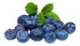 Imagem de Kit Com 2 Mudas - Mirtilo Blueberry / Amora Italiana Gigante