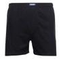 Imagem de Kit com 2 shorts pijama samba canção em algodão p ao eg torp