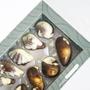 Imagem de Kit Com 2Cxs Chocolate Belga Guylian Sea Shells 125G