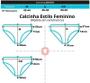 Imagem de Kit Com 3 Calcinhas Calçola Tamanho Especial Em Algodão Estilo REF520